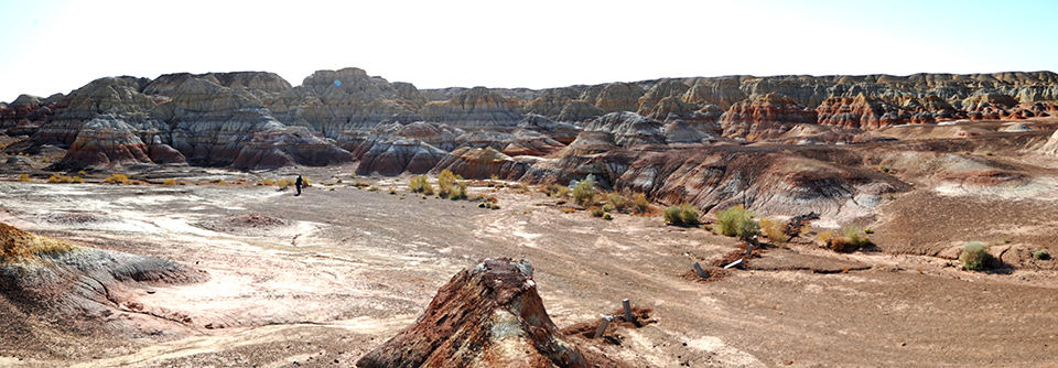 ������ɫ